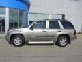 2003 Light Pewter Metallic Chevrolet TrailBlazer LS 4x4  photo #3