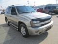 2003 Light Pewter Metallic Chevrolet TrailBlazer LS 4x4  photo #8