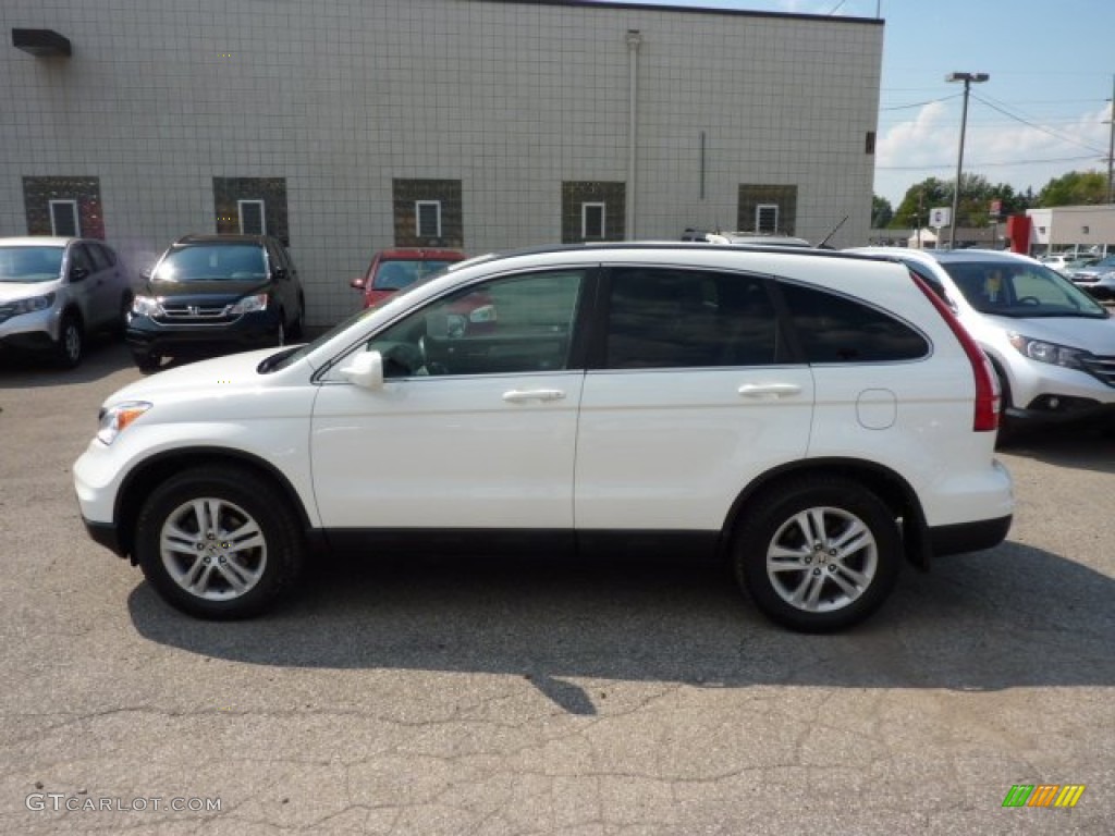 2010 CR-V EX-L AWD - Taffeta White / Gray photo #4