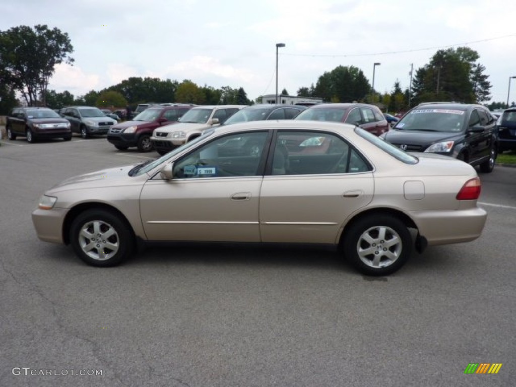 2000 Accord SE Sedan - Naples Gold Metallic / Ivory photo #4