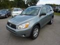 2007 Everglade Metallic Toyota RAV4 4WD  photo #3