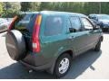 2004 Clover Green Pearl Honda CR-V EX 4WD  photo #6