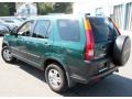 2004 Clover Green Pearl Honda CR-V EX 4WD  photo #10