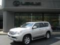 Tungsten Silver Pearl - GX 460 Photo No. 1