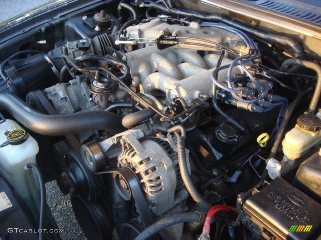 2002 Mustang V6 Coupe - Black / Medium Graphite photo #16