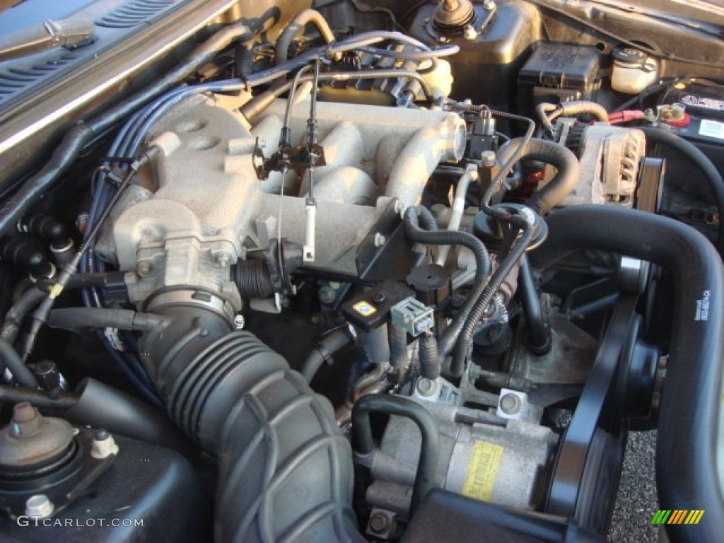 2002 Mustang V6 Coupe - Black / Medium Graphite photo #17