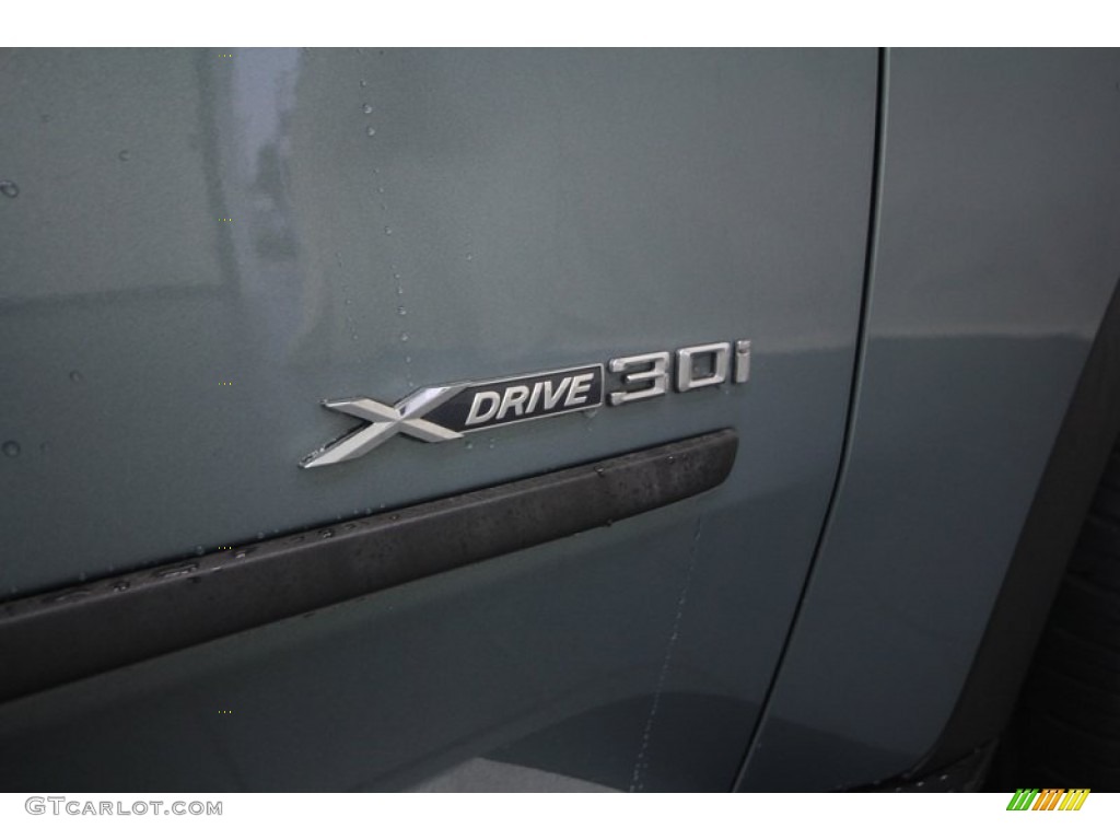 2010 BMW X5 xDrive30i Marks and Logos Photo #70848699