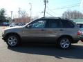 2006 Kalahari Beige Metallic BMW X5 3.0i  photo #5