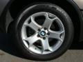 2006 Kalahari Beige Metallic BMW X5 3.0i  photo #24