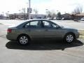 Natural Khaki Green - Sonata GLS Photo No. 5