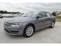 Platinum Gray Metallic - Passat 2.5L SEL Photo No. 1