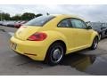 Yellow Rush - Beetle 2.5L Photo No. 2