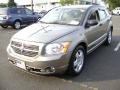 Light Khaki Metallic - Caliber SXT Photo No. 1