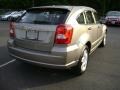 Light Khaki Metallic - Caliber SXT Photo No. 6