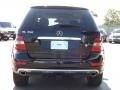 Black - ML 350 Photo No. 4