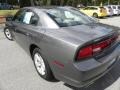 Tungsten Metallic - Charger SE Photo No. 14