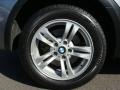 Silver Grey Metallic - X3 3.0i Photo No. 25