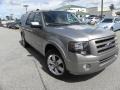 Vapor Silver Metallic 2008 Ford Expedition EL Limited
