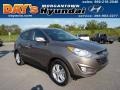 2013 Chai Bronze Hyundai Tucson GLS AWD  photo #1