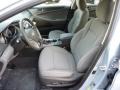 Iridescent Silver Blue Pearl - Sonata GLS Photo No. 15