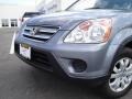 2005 Pewter Pearl Honda CR-V Special Edition 4WD  photo #9