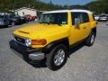 Sun Fusion - FJ Cruiser 4WD Photo No. 3