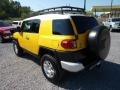 Sun Fusion - FJ Cruiser 4WD Photo No. 5