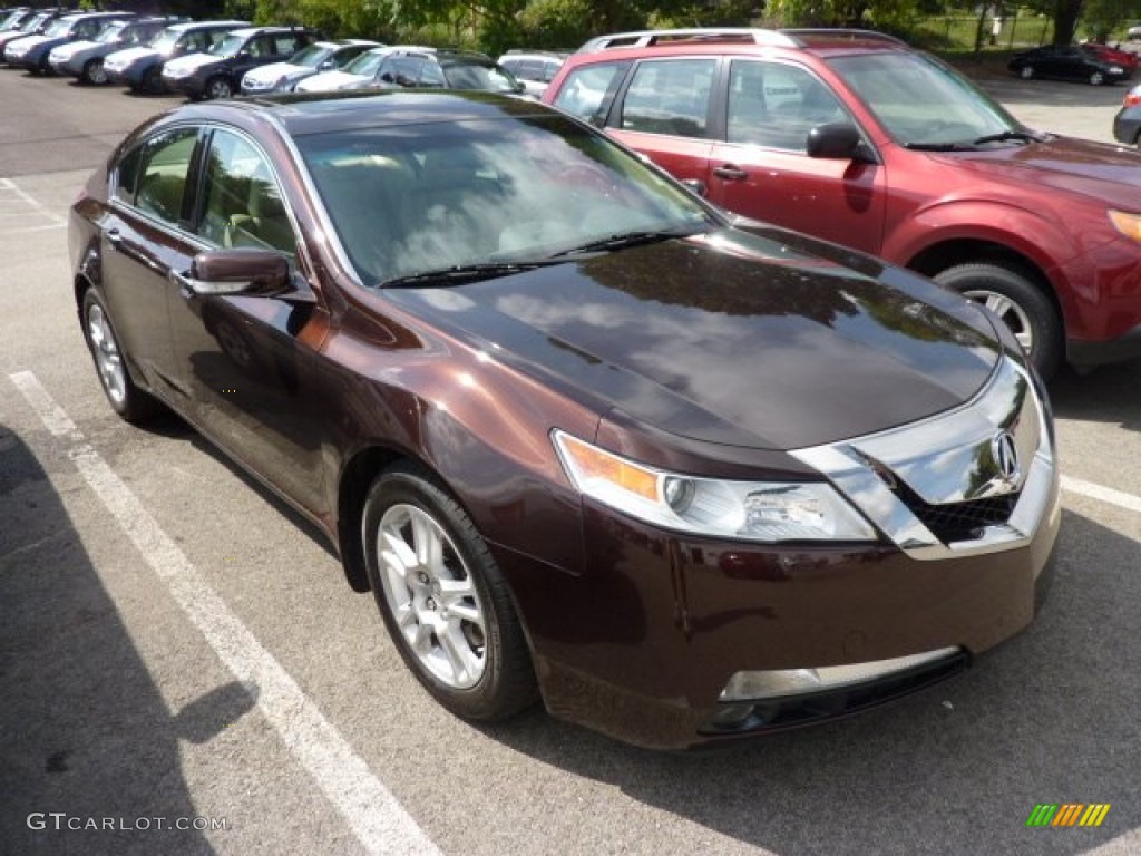 Mayan Bronze Metallic 2010 Acura TL 3.5 Technology Exterior Photo #70898770