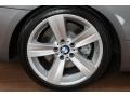 2009 Space Grey Metallic BMW 3 Series 335i Coupe  photo #34