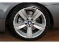 2009 Space Grey Metallic BMW 3 Series 335i Coupe  photo #35
