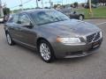 Oyster Gray Metallic - S80 3.2 Photo No. 10