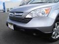 2007 Whistler Silver Metallic Honda CR-V EX-L  photo #9