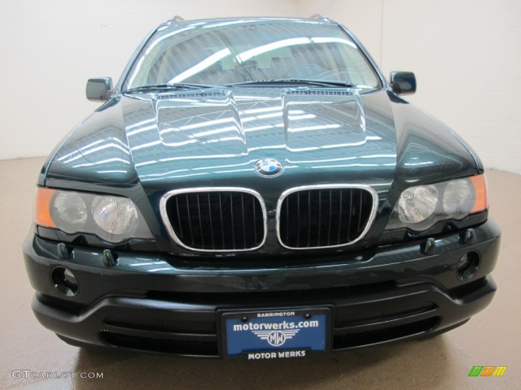 2002 X5 3.0i - Oxford Green Metallic / Beige photo #2
