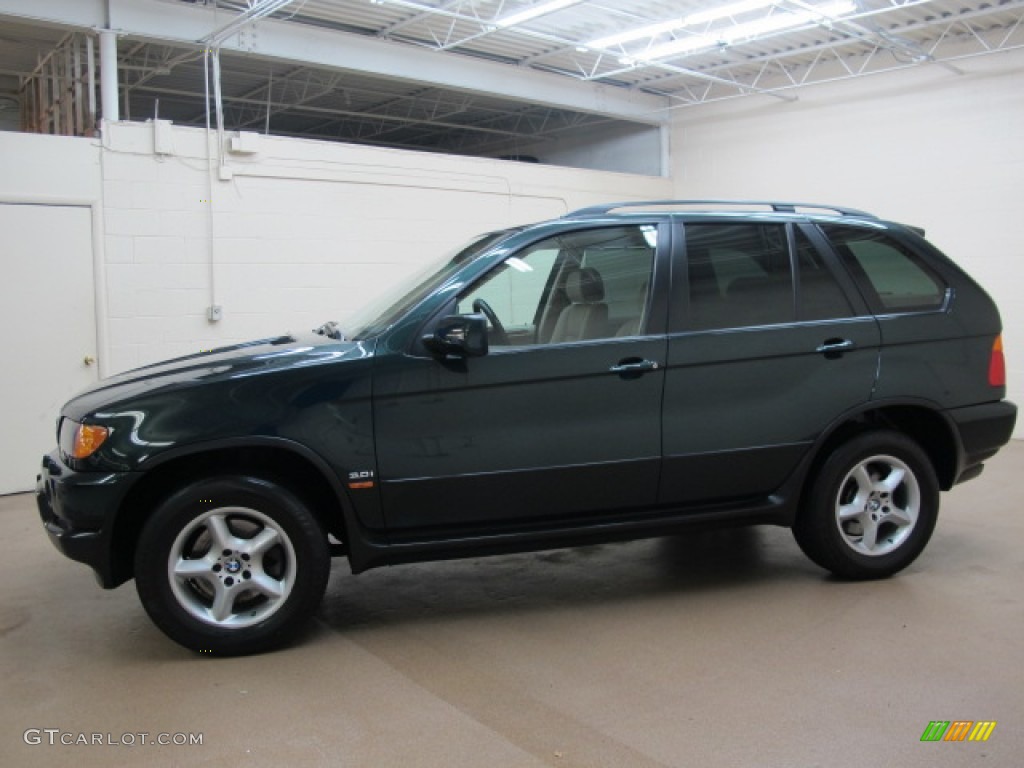 2002 X5 3.0i - Oxford Green Metallic / Beige photo #5