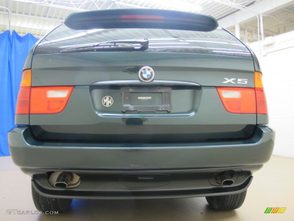 2002 X5 3.0i - Oxford Green Metallic / Beige photo #8