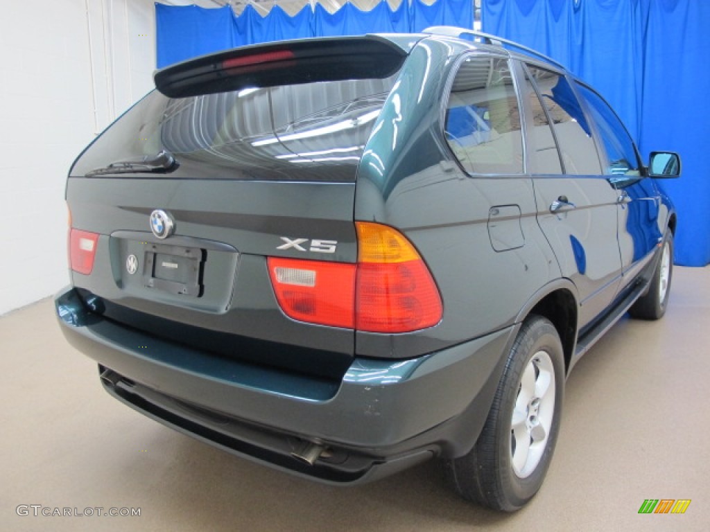 2002 X5 3.0i - Oxford Green Metallic / Beige photo #9