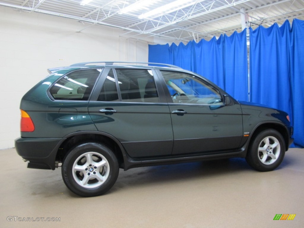 2002 X5 3.0i - Oxford Green Metallic / Beige photo #10