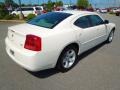 Stone White - Charger R/T Photo No. 6