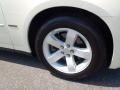 Stone White - Charger R/T Photo No. 24