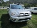 2006 Titanium Metallic Toyota 4Runner Limited 4x4  photo #10