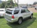 2006 Titanium Metallic Toyota 4Runner Limited 4x4  photo #14