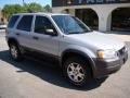 2004 Satin Silver Metallic Ford Escape XLT V6  photo #8