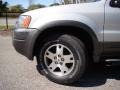 2004 Satin Silver Metallic Ford Escape XLT V6  photo #26