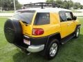 Sun Fusion Yellow - FJ Cruiser 4WD Photo No. 4