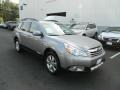 2010 Steel Silver Metallic Subaru Outback 3.6R Limited Wagon  photo #8