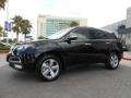 2013 Crystal Black Pearl Acura MDX SH-AWD Technology  photo #3