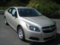 Champagne Silver Metallic - Malibu LS Photo No. 2