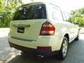 Arctic White - GL 450 4Matic Photo No. 27