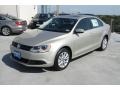 Moonrock Silver Metallic - Jetta SE Sedan Photo No. 3