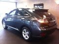 2010 Smokey Granite Mica Lexus RX 350 AWD  photo #10